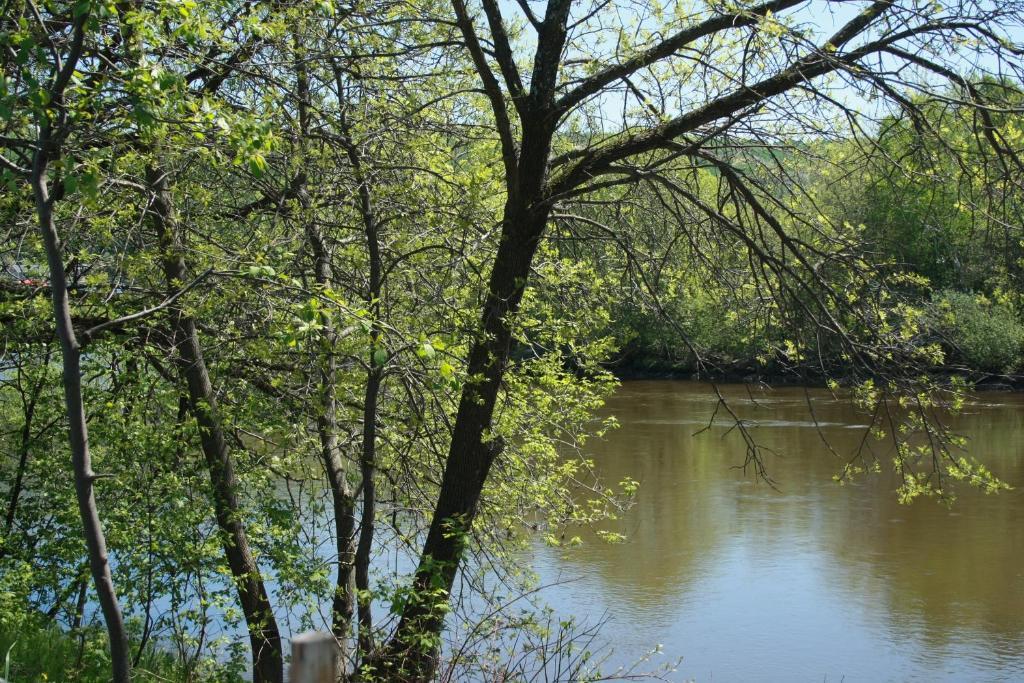 Gite Fleury Baie-Saint-Paul Bagian luar foto